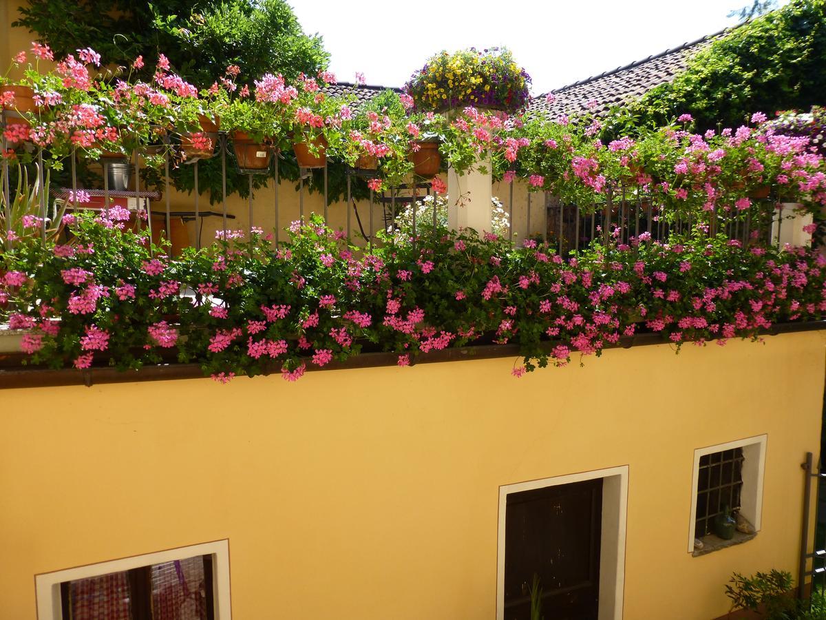 Chez Marianne "Chambres D'Hotes" Astano ภายนอก รูปภาพ