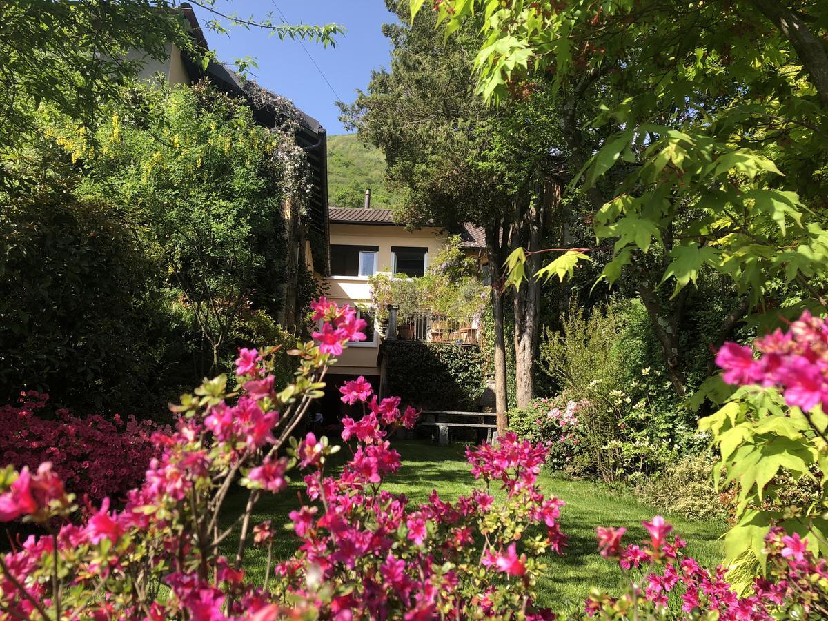 Chez Marianne "Chambres D'Hotes" Astano ภายนอก รูปภาพ